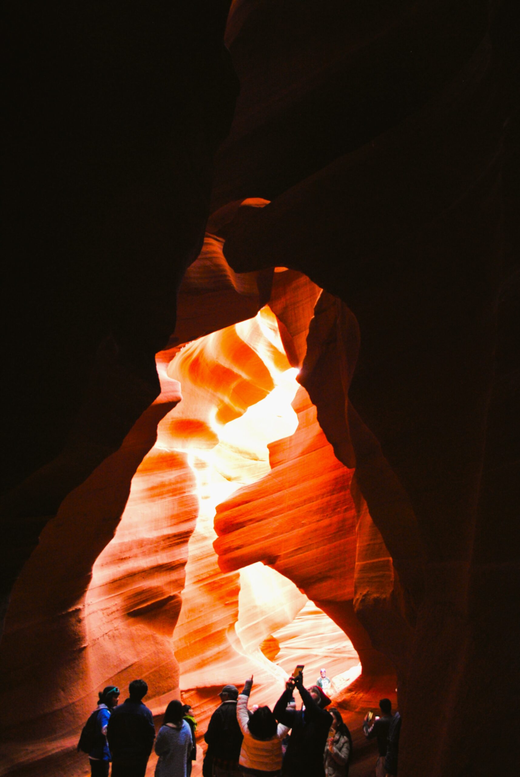 dsc 1010