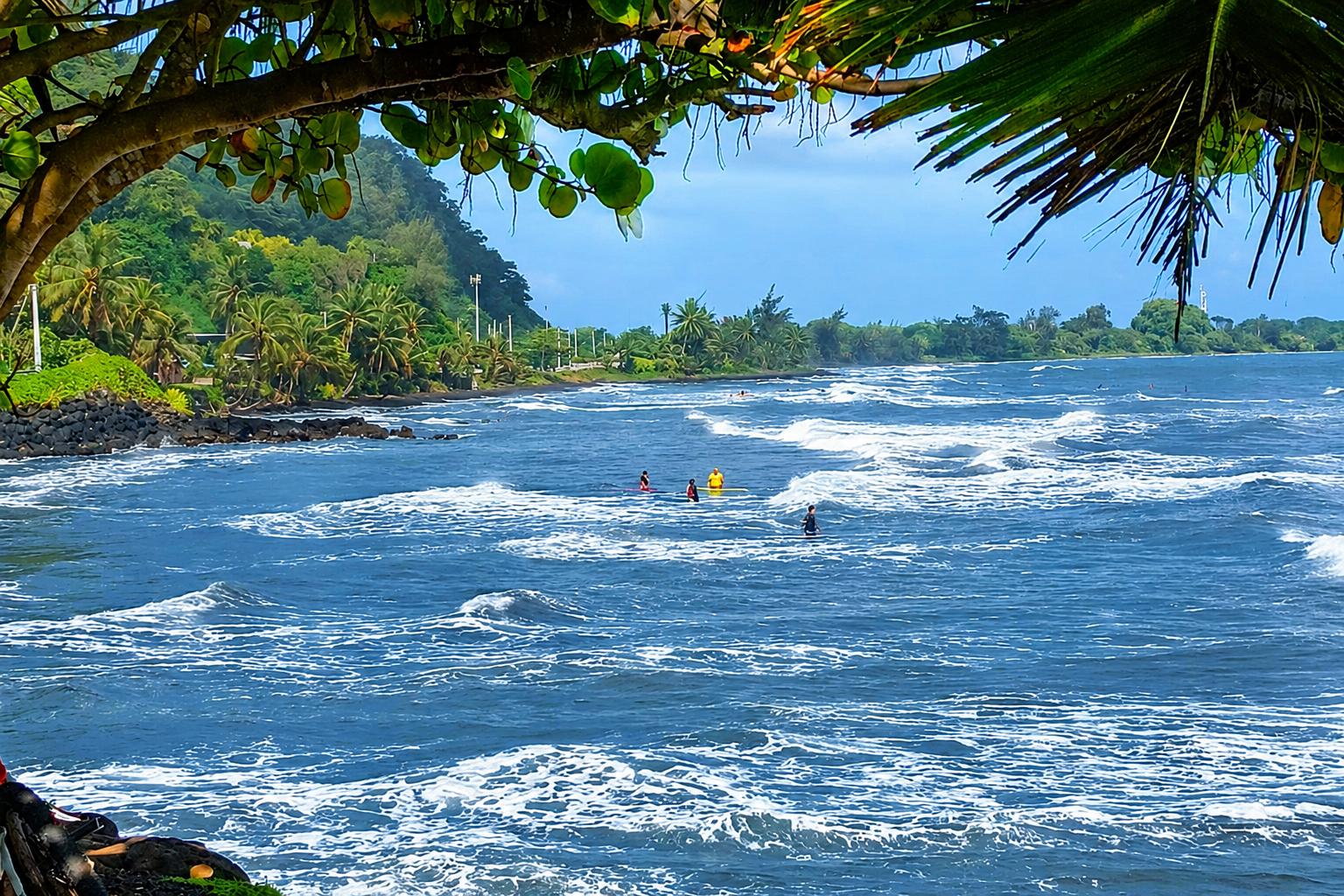 img 20230202 wa0005b