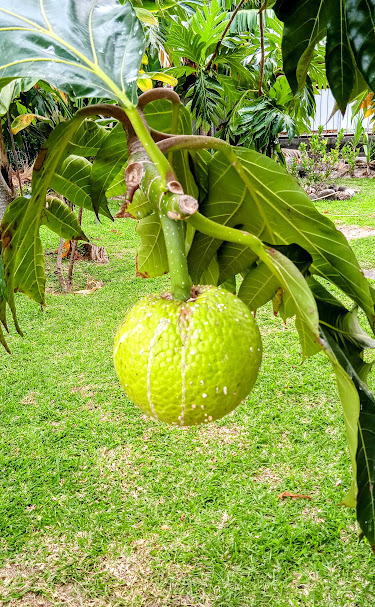 img 20230203 wa0020