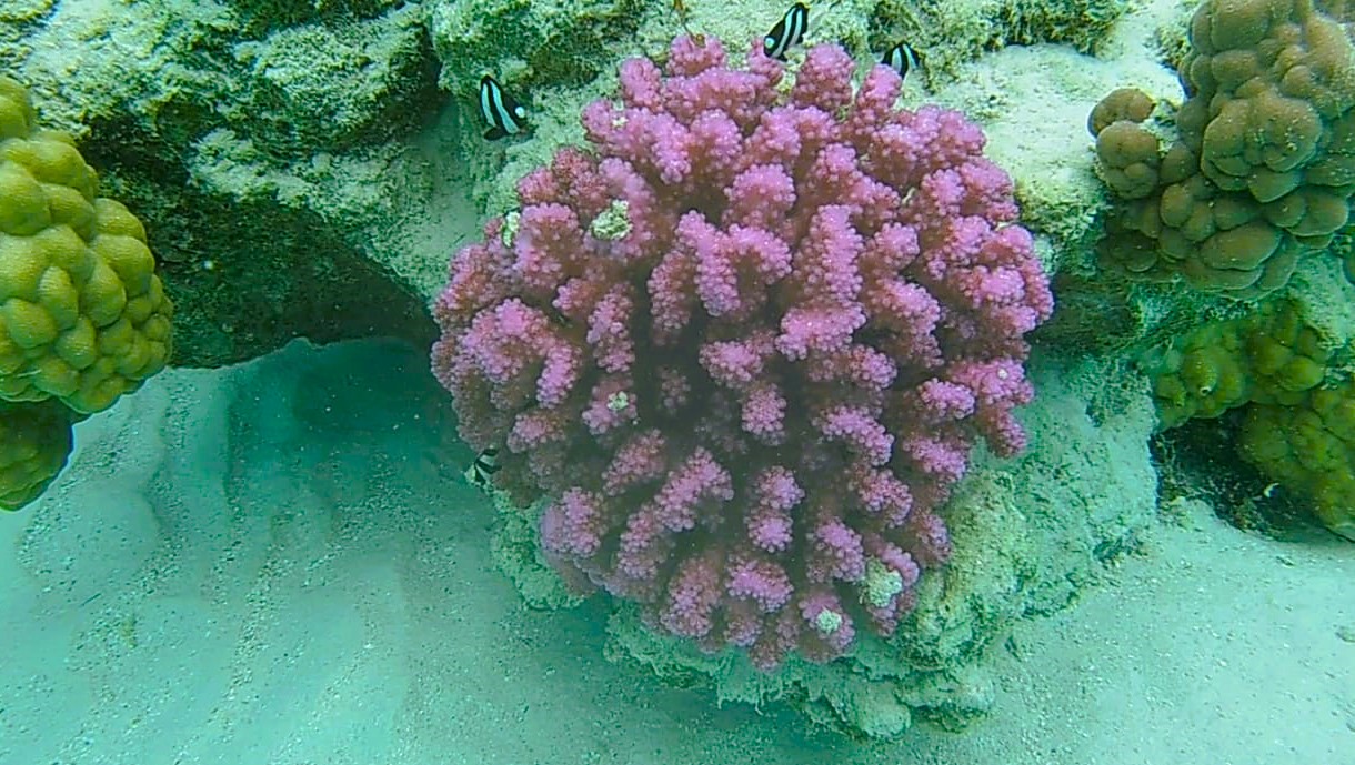 img 20230215 wa0083