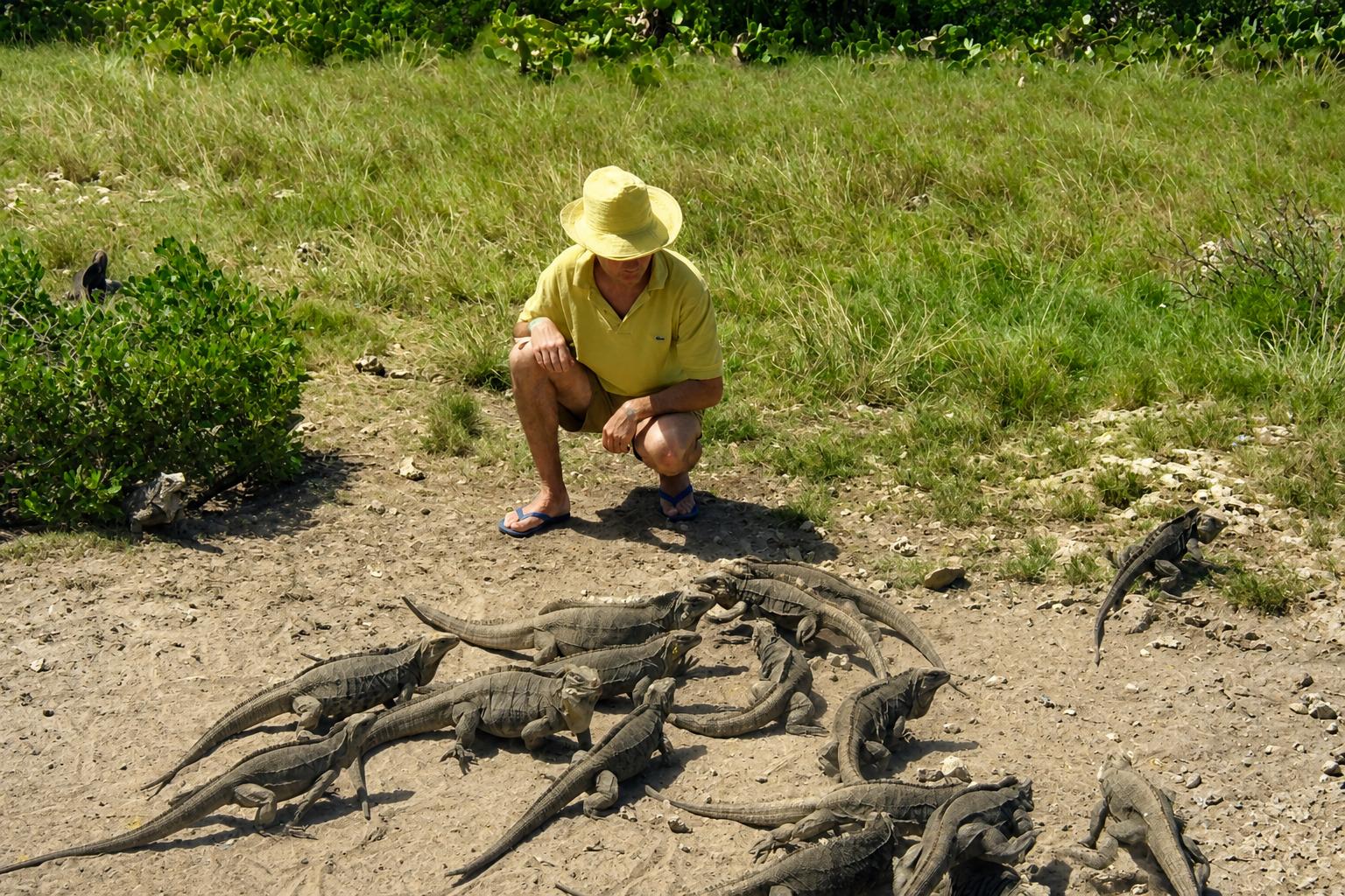 img00051 1