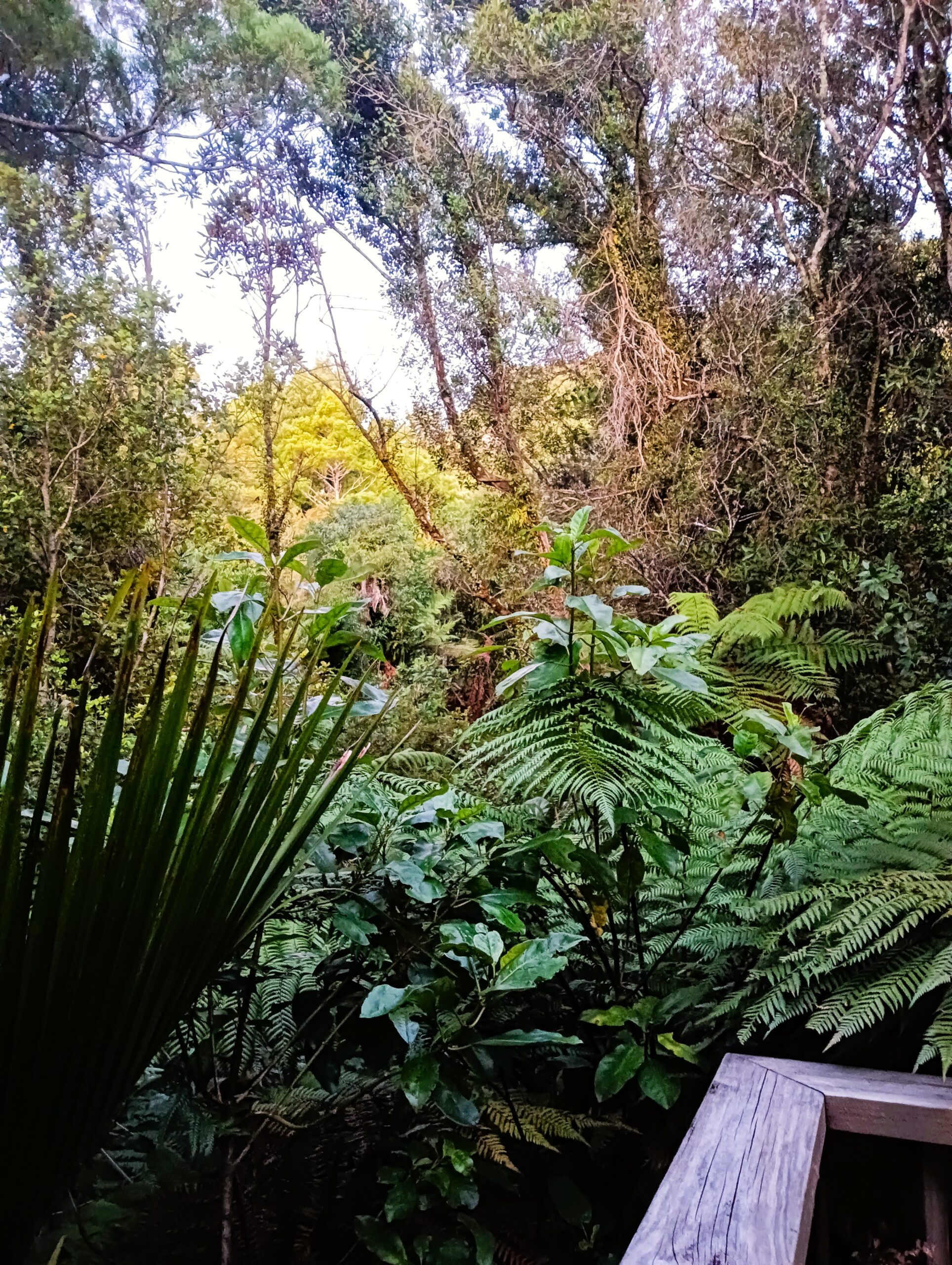 img20230128211239