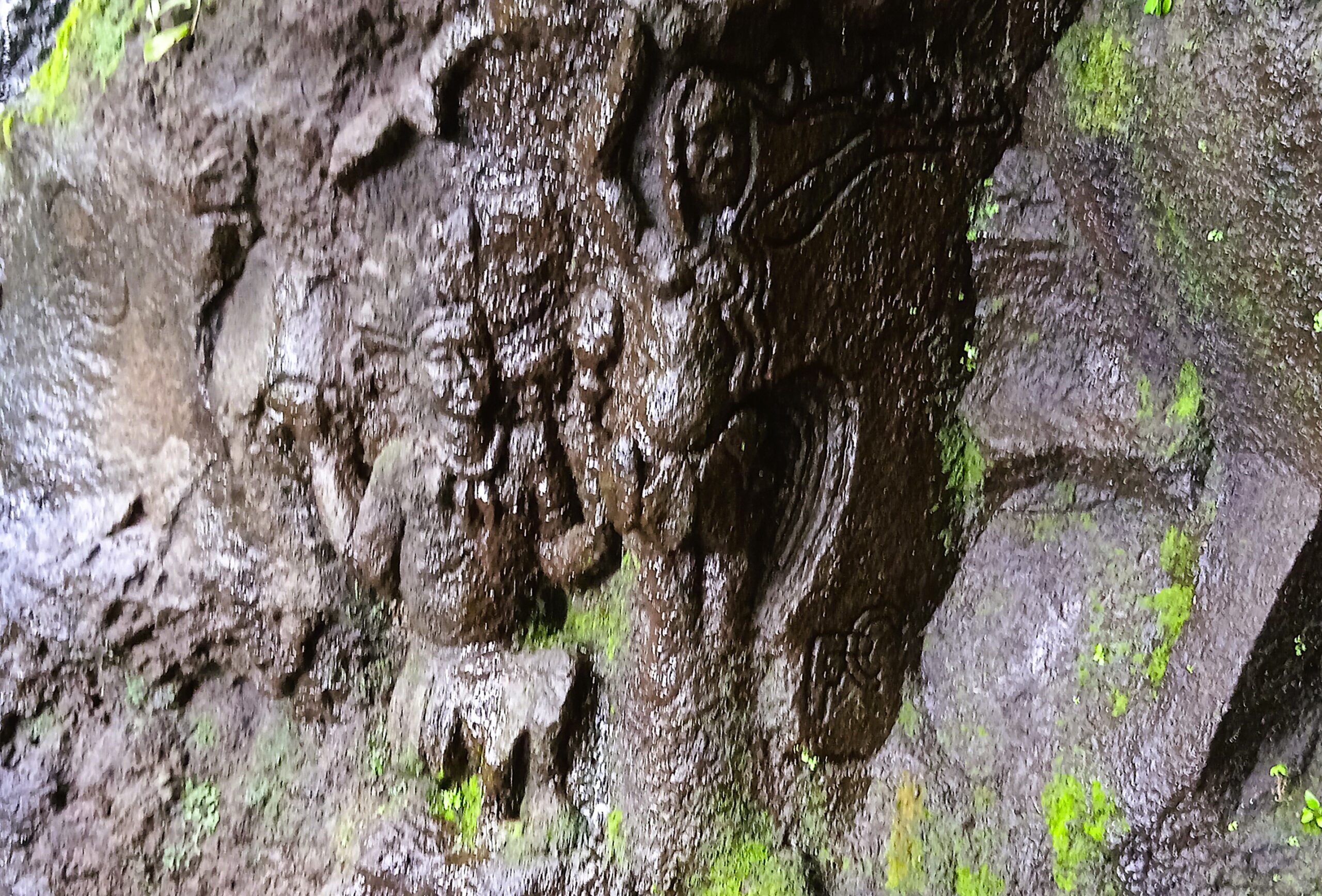 img 20230131 100353 1b