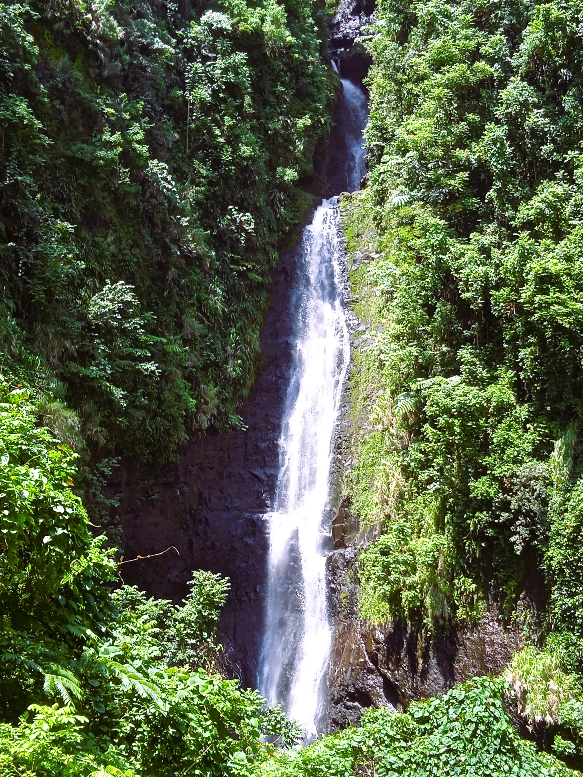 img 20230201 112137