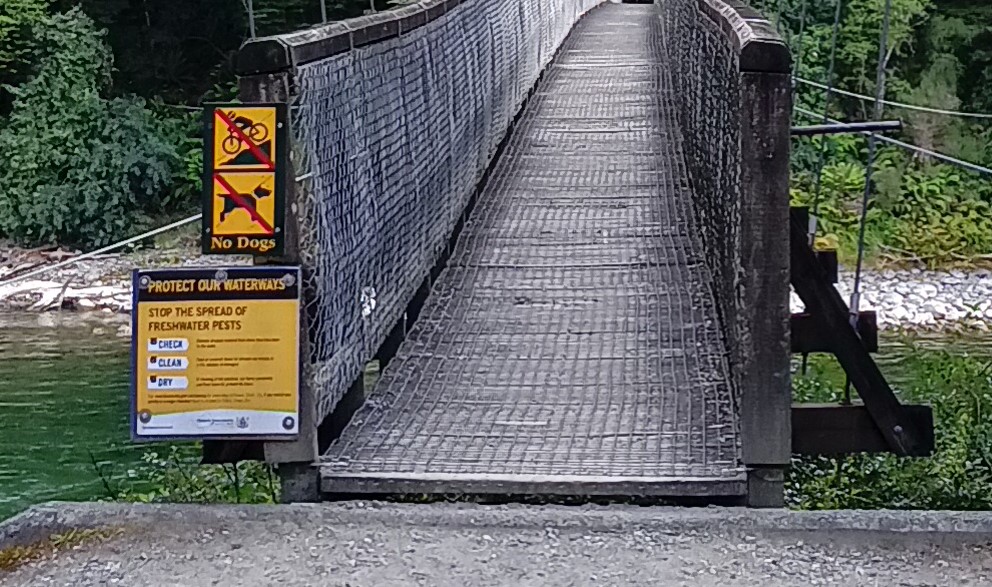 no dogs