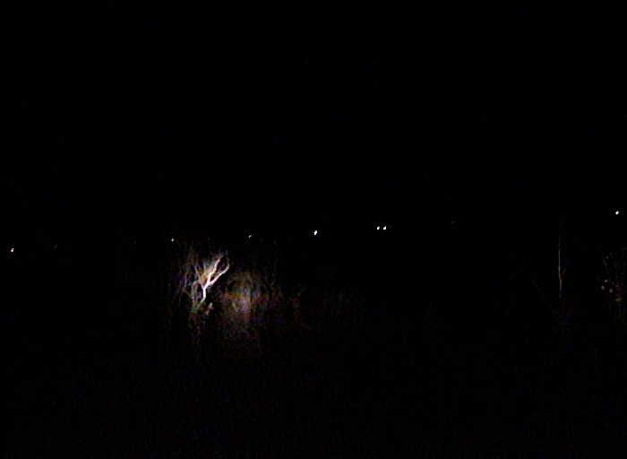 vid 0009