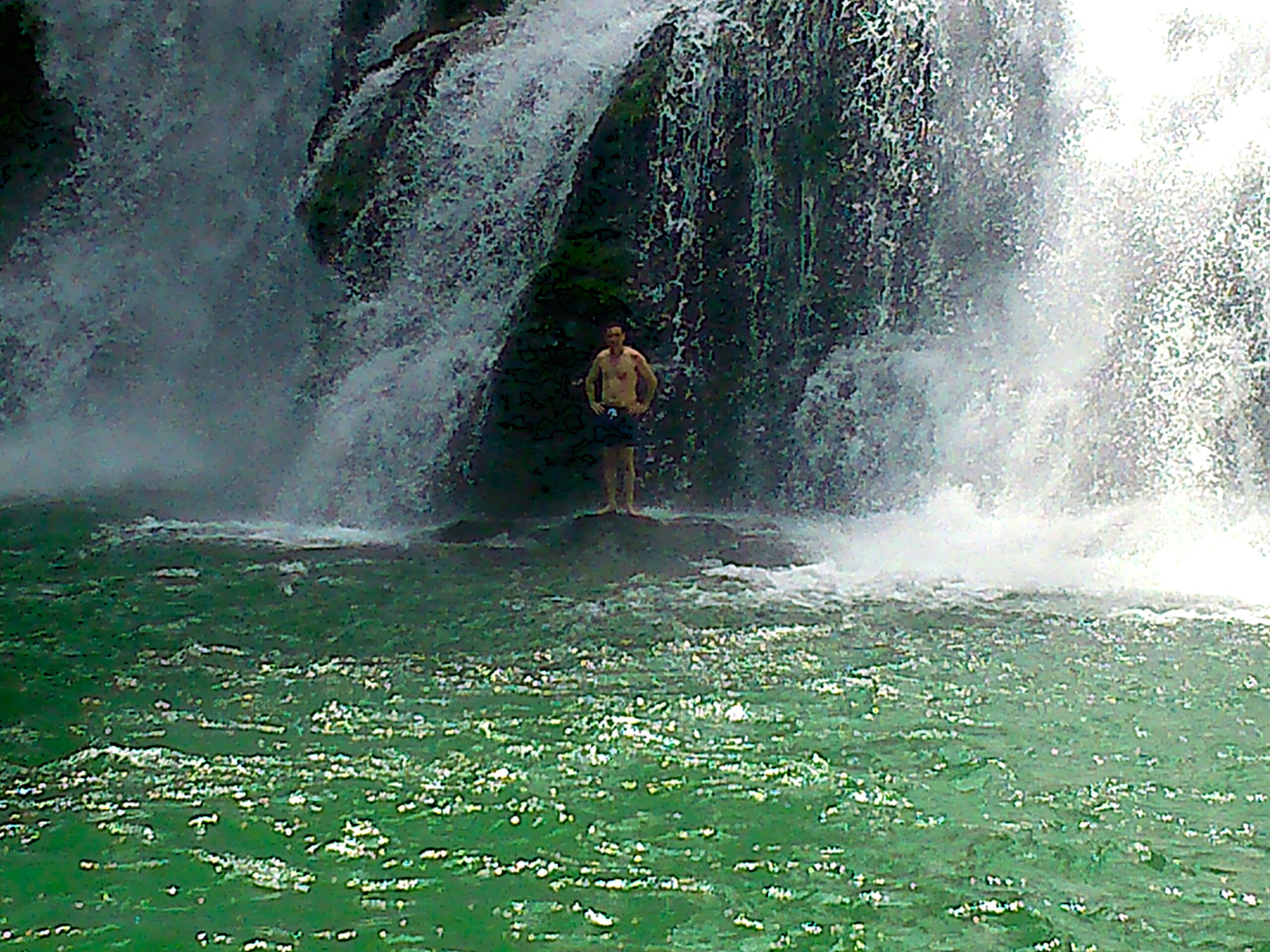dsc 0008