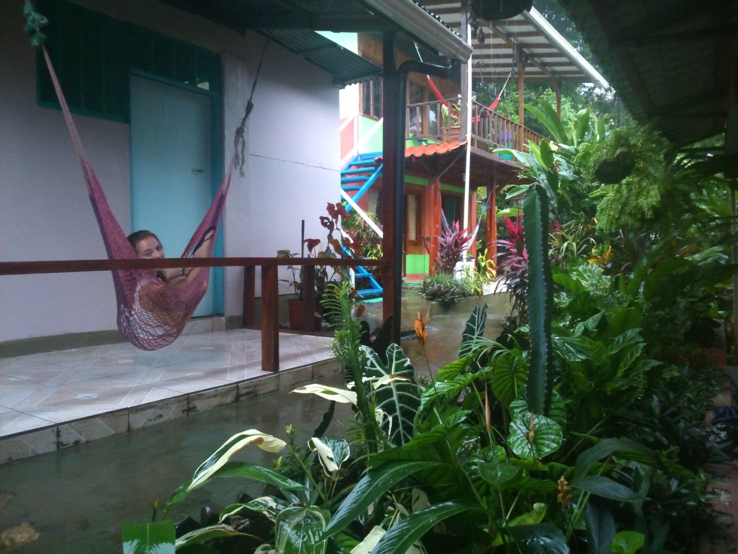dsc 0098