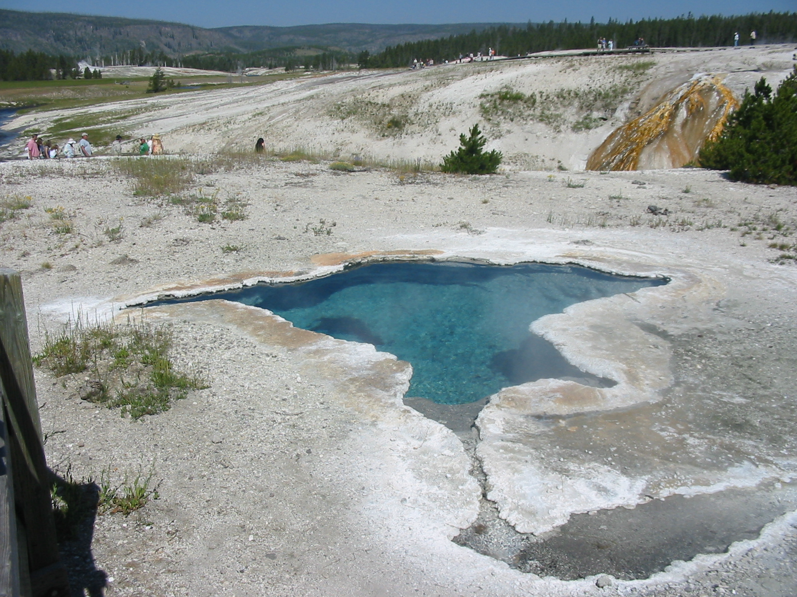 verano 2008119