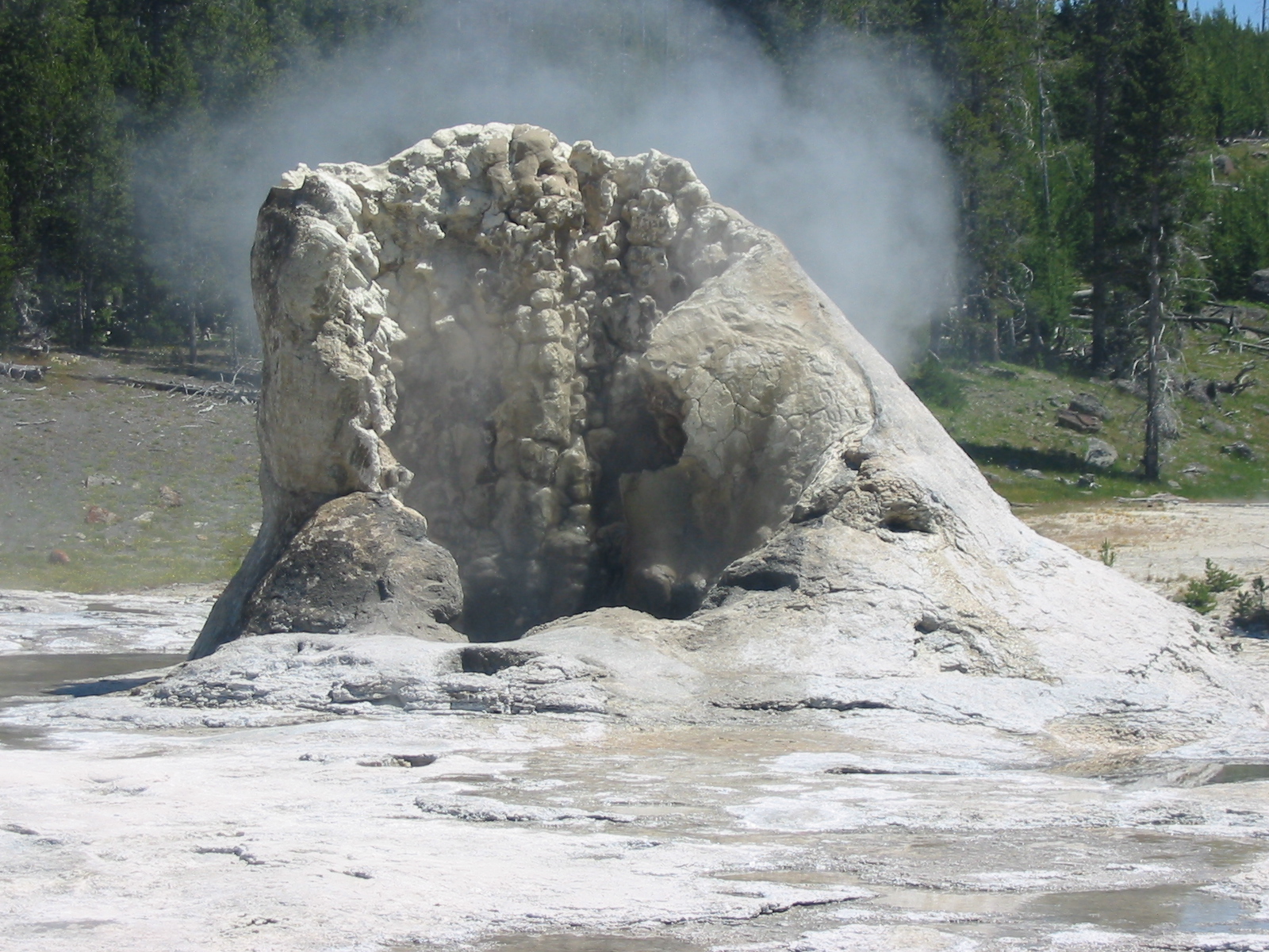 verano 2008128