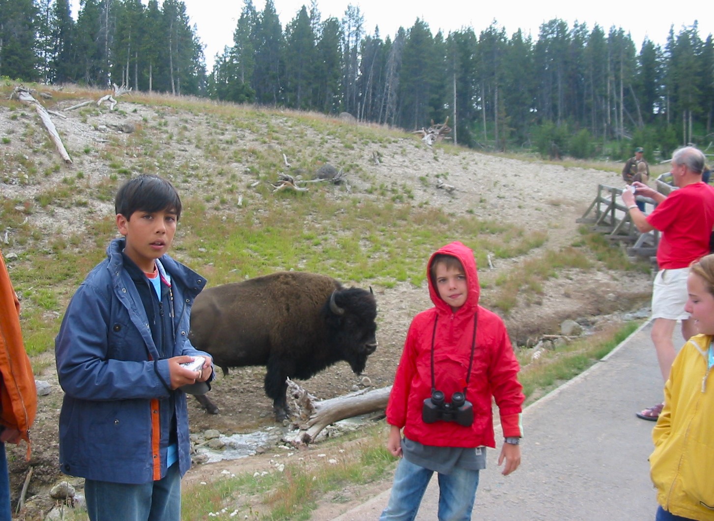 verano 2008147