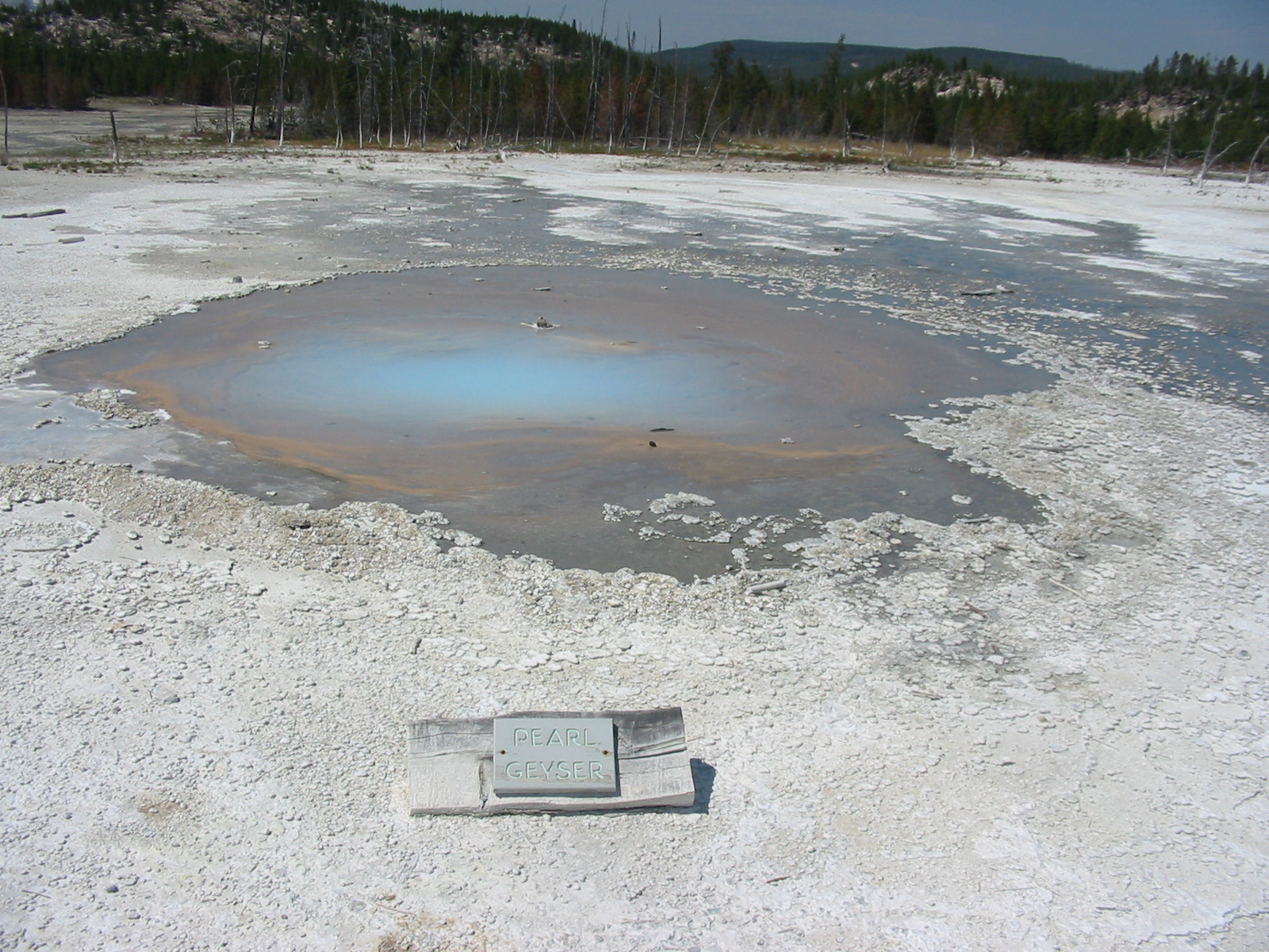 verano 2008172