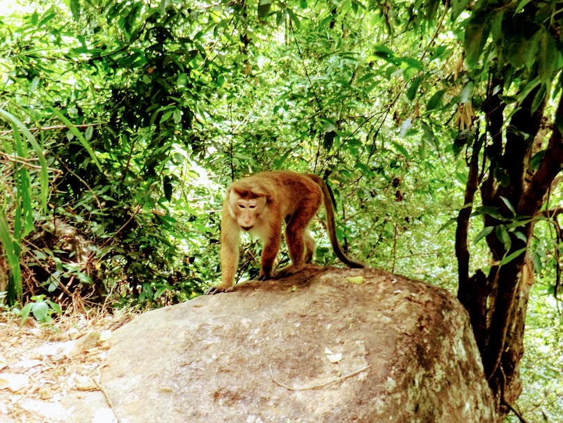 sri lanka maldivas 127