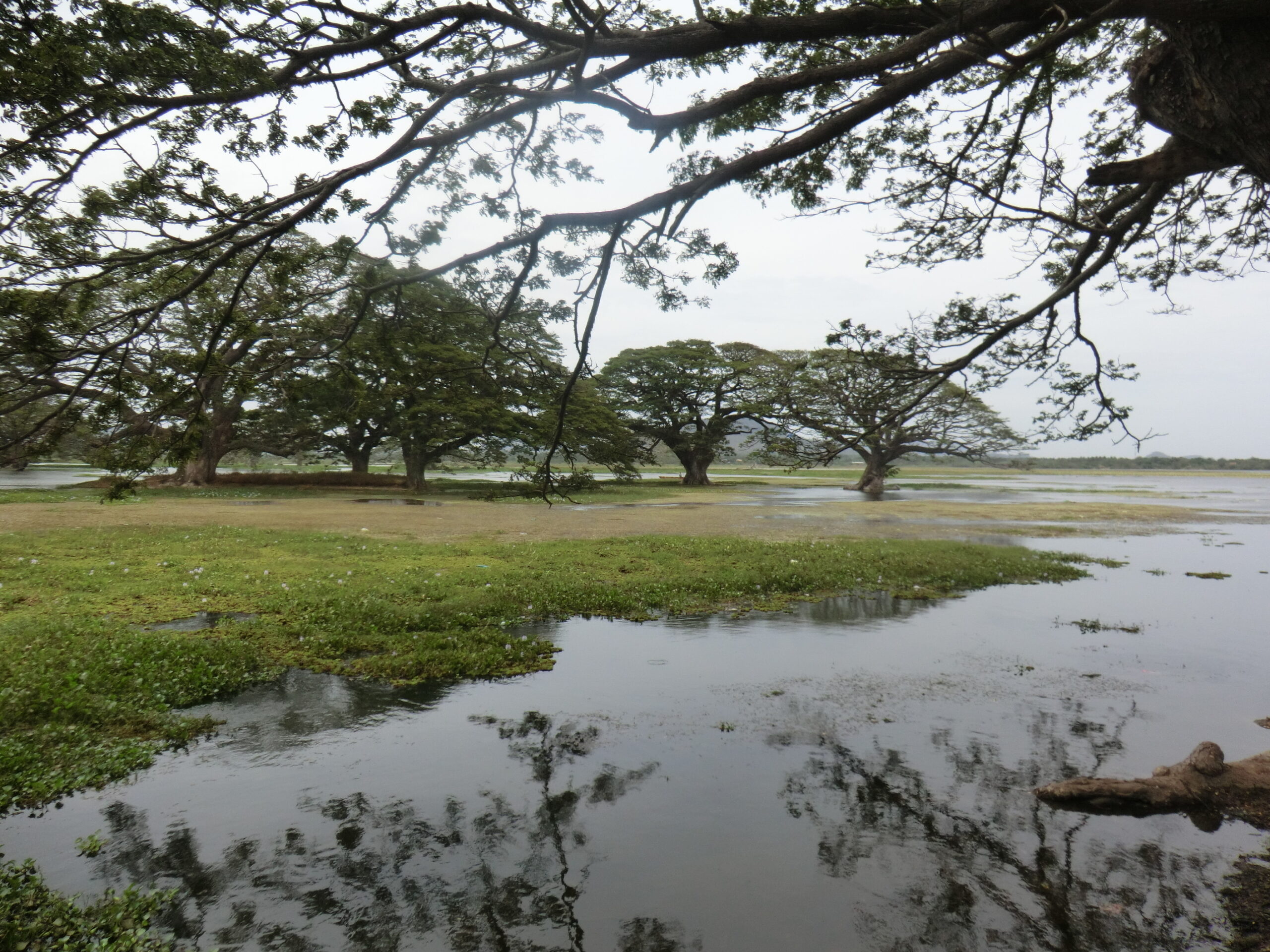 sri lanka maldivas 23
