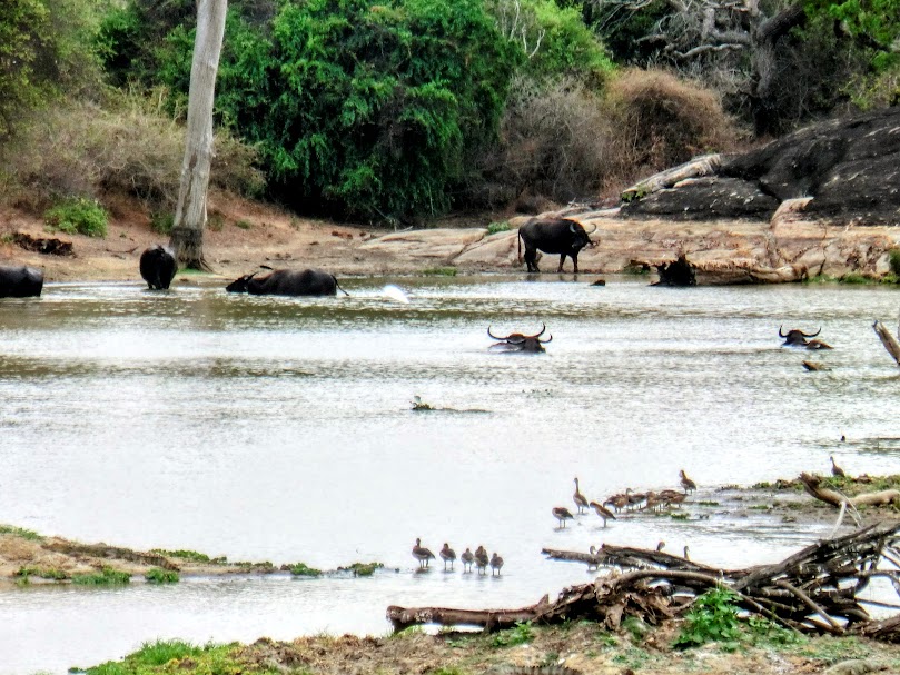 sri lanka maldivas 44 edit