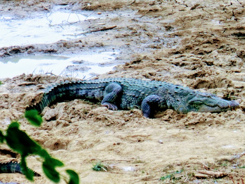 sri lanka maldivas 74